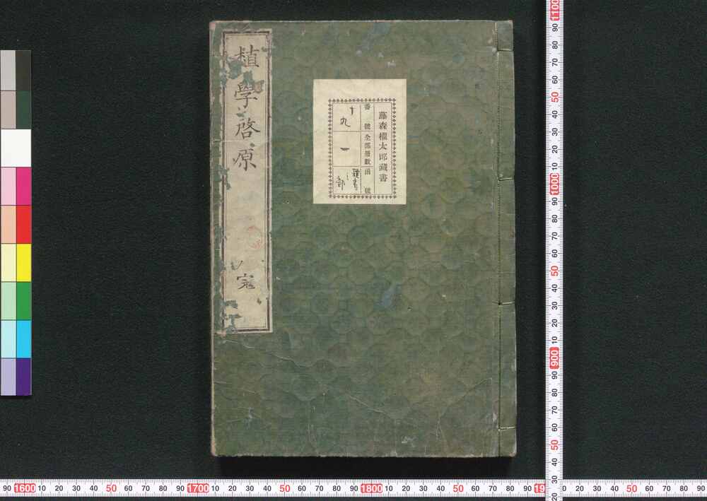 作品画像:植学啓原
