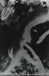 作品画像:#9