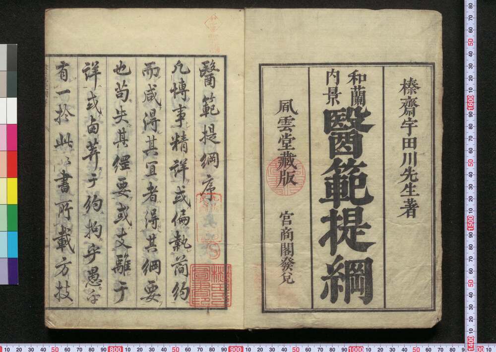 作品画像:医範提綱