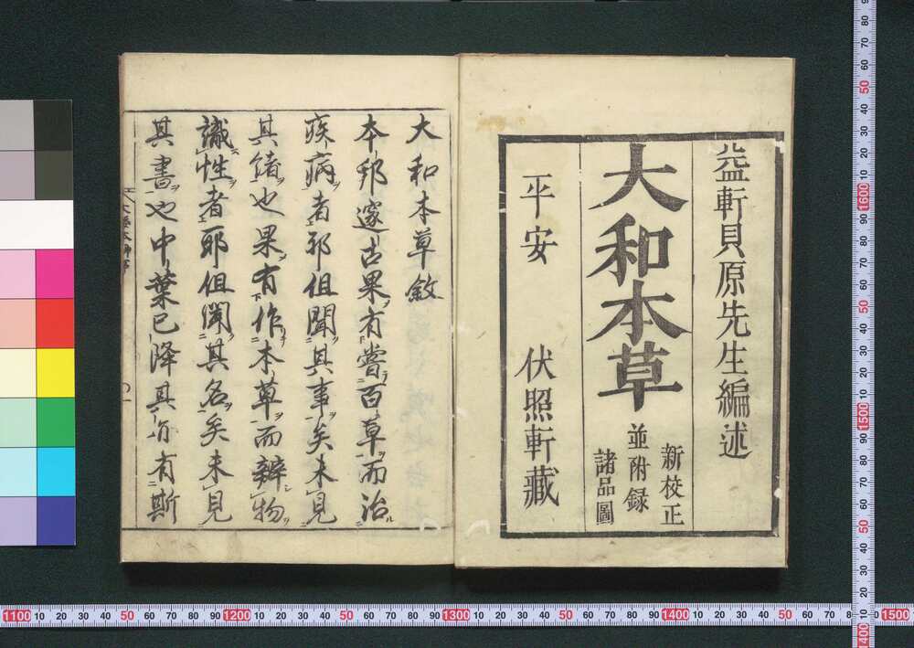 作品画像:大和本草