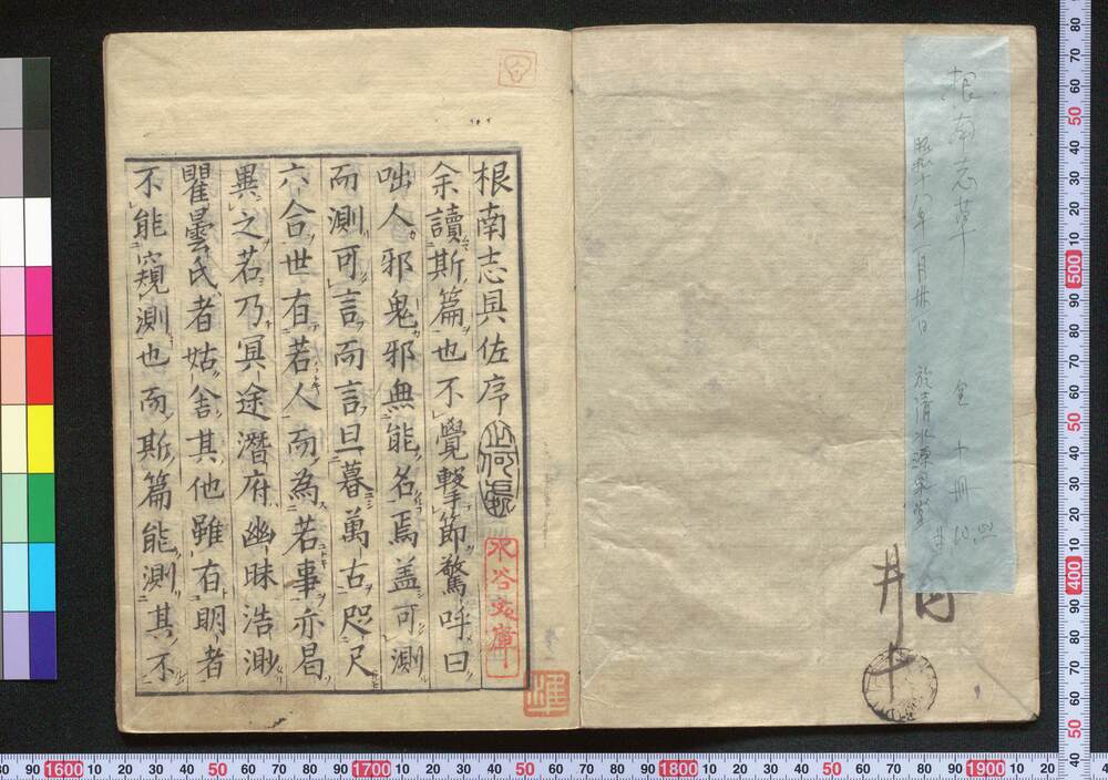 作品画像:根南志草