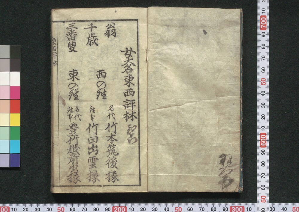 作品画像:女大名東西評林