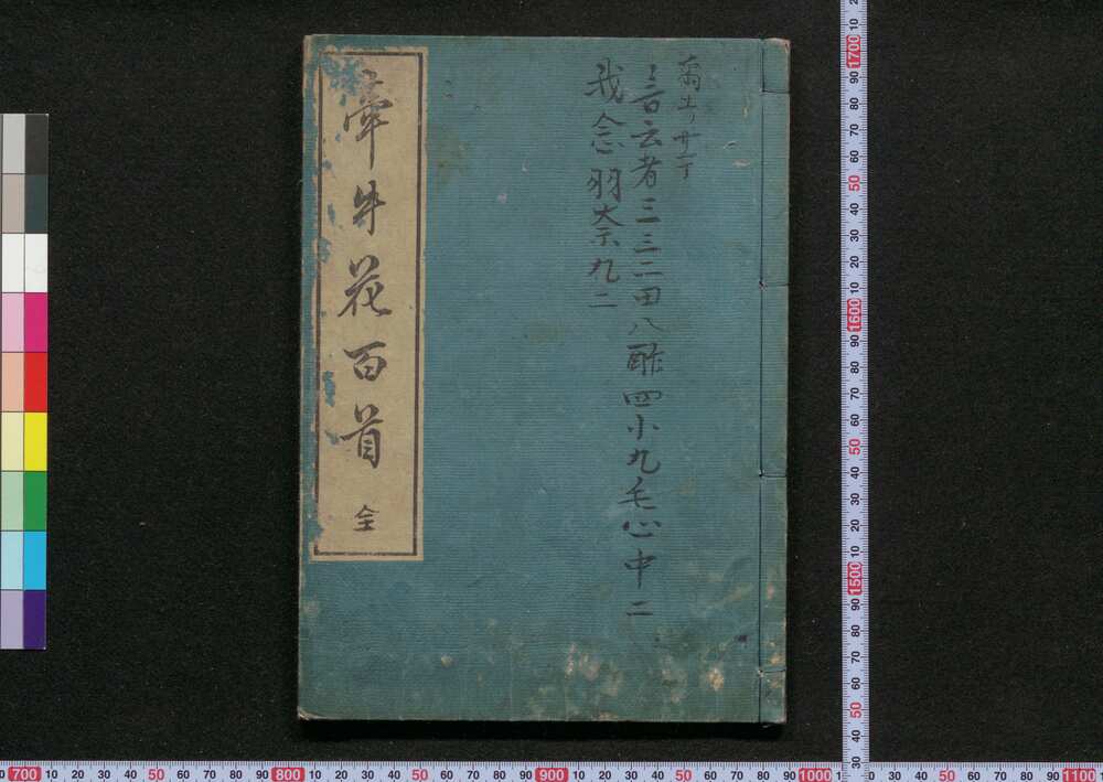 作品画像:牽牛花百種 全