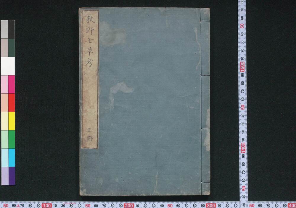 作品画像:秋野七草考