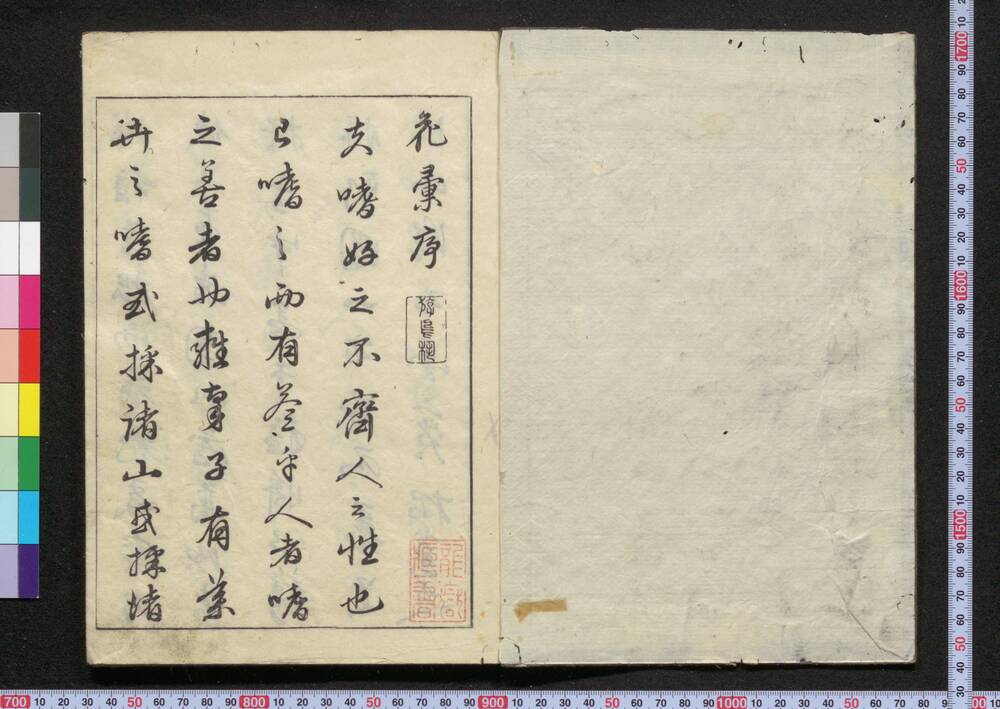 作品画像:花彙