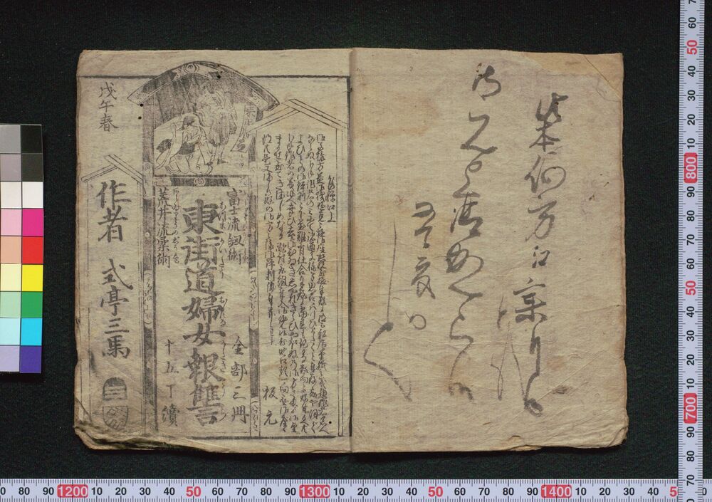 作品画像:富士流剣術荒井流柔術東海道婦女敵討