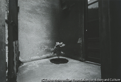 作品画像: