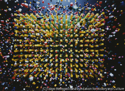作品画像:続 1/50,000秒の世界 4