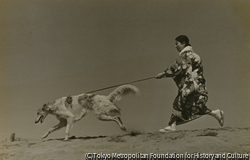作品画像：犬の散歩