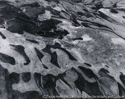 作品画像:九十九里浜(千葉県), 1975