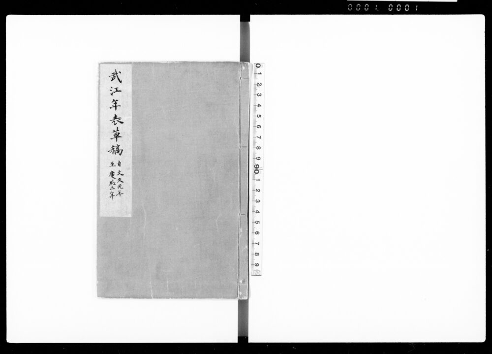 作品画像:武江年表 草稿
