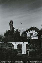 作品画像：