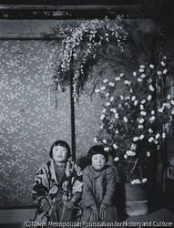 作品画像:繭玉、会地村駒場、昭和28年