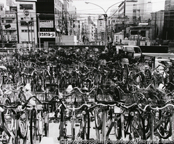 作品画像:無題