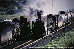 作品画像:現役同士 D51とD51 室蘭本線沼ノ端-遠浅