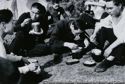 作品画像: