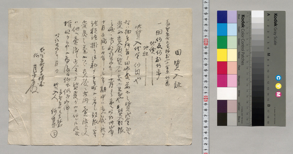 作品画像：[田質入証雛型]