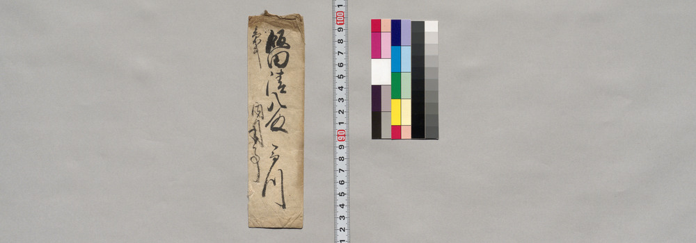 飯田清八宛書簡(馬流大雷火にて延引につき)