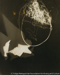 作品画像: