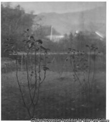 作品画像:(風景)
