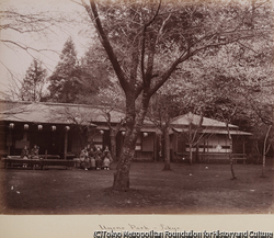 作品画像:上野公園、東京