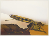 作品画像:NZ – No.15