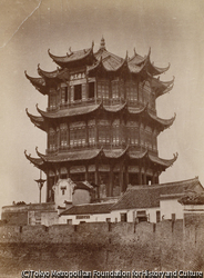 作品画像: