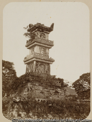 作品画像：
