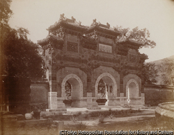 作品画像: