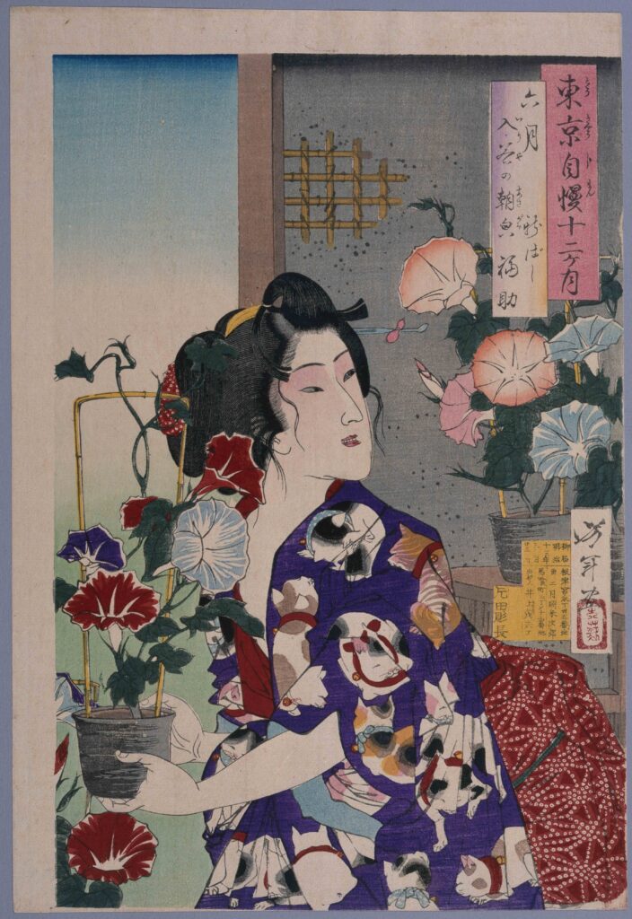 作品画像:東京自慢十二ヶ月 六月 入谷の朝顔