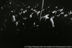 作品画像:仲間の死に黙祷する学生たち
