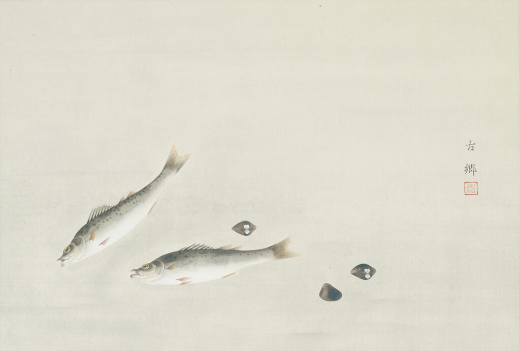 作品画像:魚貝図