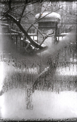 作品画像: