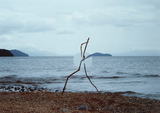 作品画像:SEEING 85-23 OKUBIWAKO 2