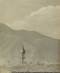 作品画像:夏景