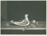 作品画像:メキシコの鳩 静物画