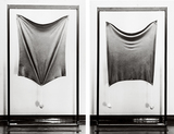 作品画像:硬化(STUDY FOR CLOTH)