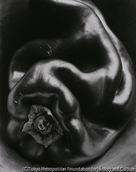 作品画像:ペッパー No.35