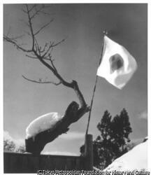 作品画像:(国旗と雪屋根)