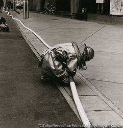 作品画像: