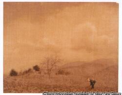 作品画像:風景(畑仕事の女)