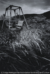 作品画像: