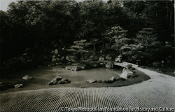 作品画像:仁和寺 (2)