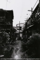 作品画像: