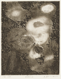 作品画像:SUS (c) 2