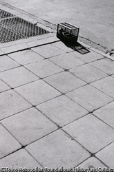 作品画像:春の歩道