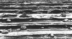 作品画像:青島