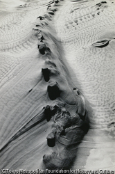作品画像:浸蝕された岩 No.4