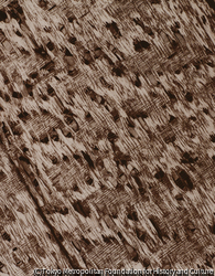 作品画像:17
