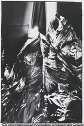 作品画像: